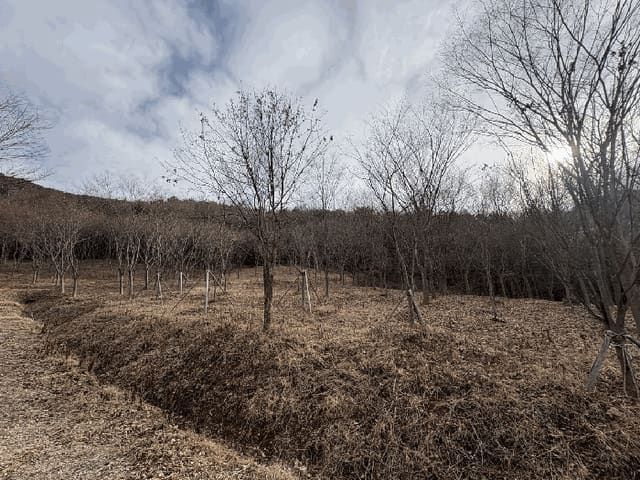 B000510202501300346344.jpg