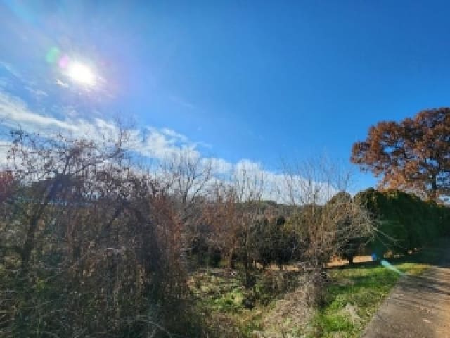 B000510202501300346731.jpg