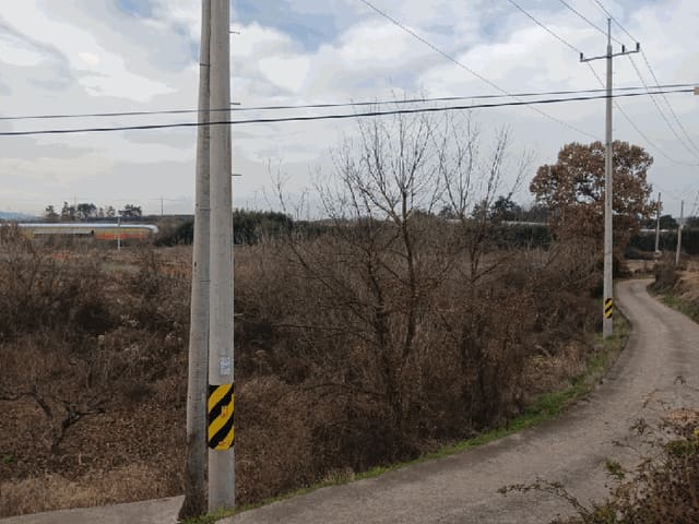 B000510202501300346734.jpg