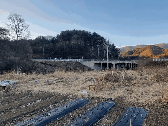 B000510202501300347124.jpg