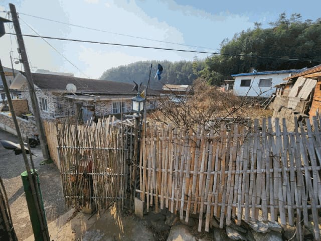 B000510202501300347542.jpg