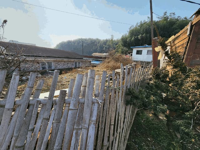 B000510202501300347544.jpg