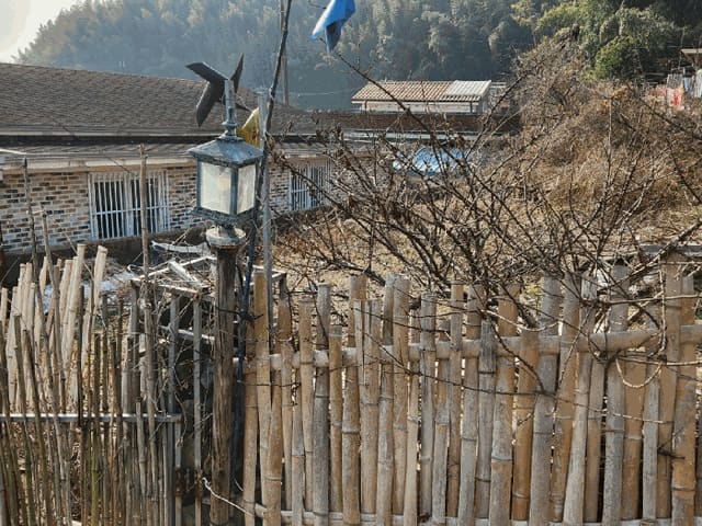 B000510202501300347543.jpg