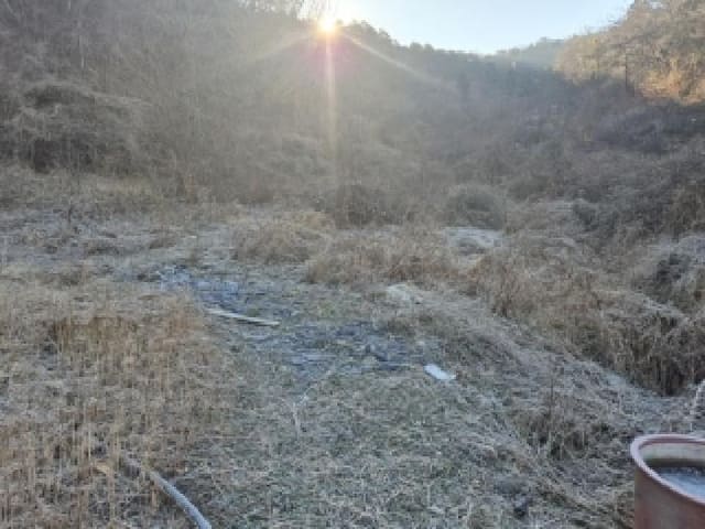 B000510202501300347682.jpg