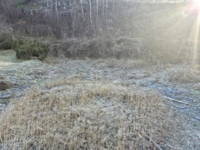 B000510202501300347681.jpg