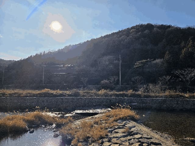 B000510202501300347834.jpg