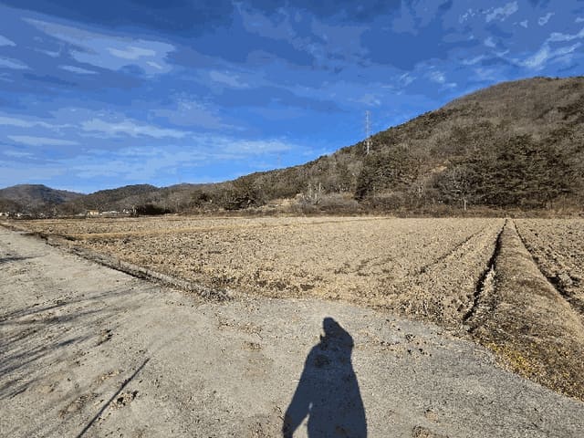 B000510202501300347839.jpg