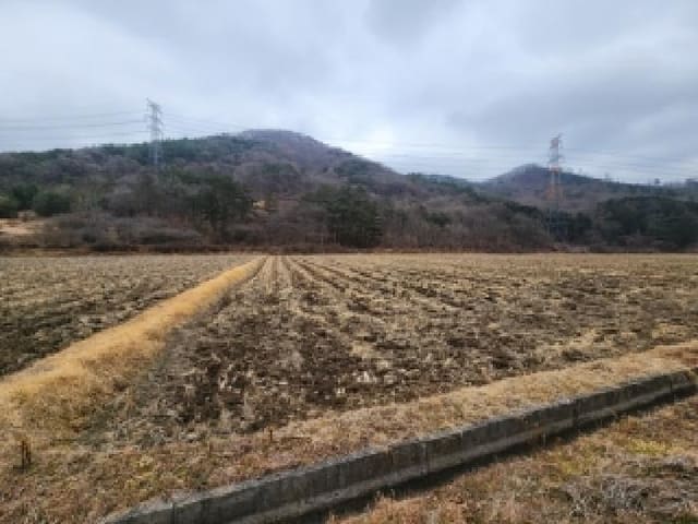 B000510202501300347831.jpg