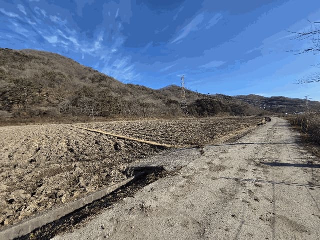 B000510202501300347838.jpg