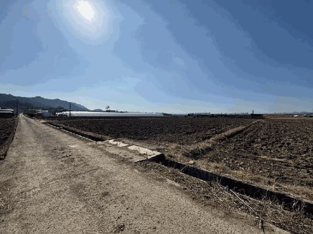 B000510202601300005394.jpg