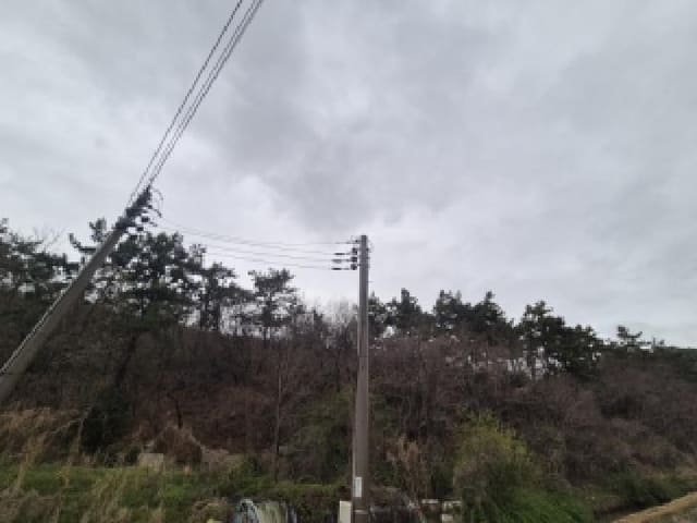 B000510202601300032082.jpg