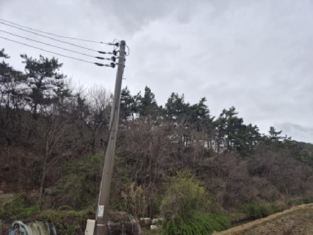 B000510202601300032083.jpg