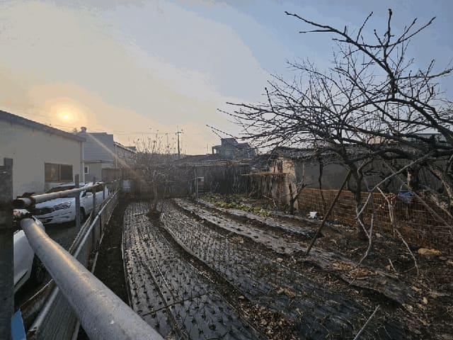 B0005102026013003001221.jpg