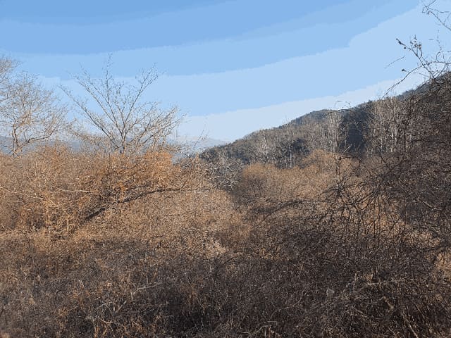 B0005102026013003011623.jpg