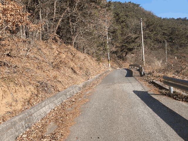 B0005102026013003011625.jpg