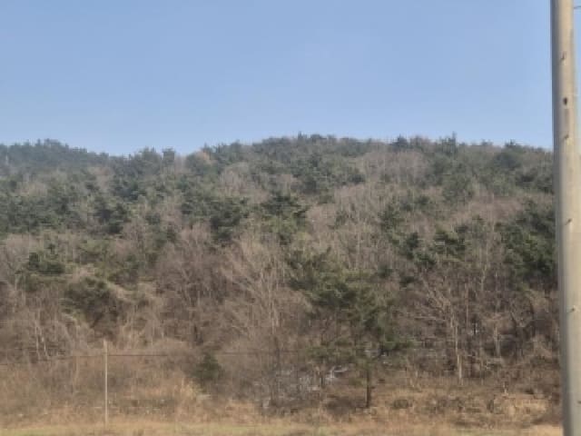 B000510202601300301632.jpg
