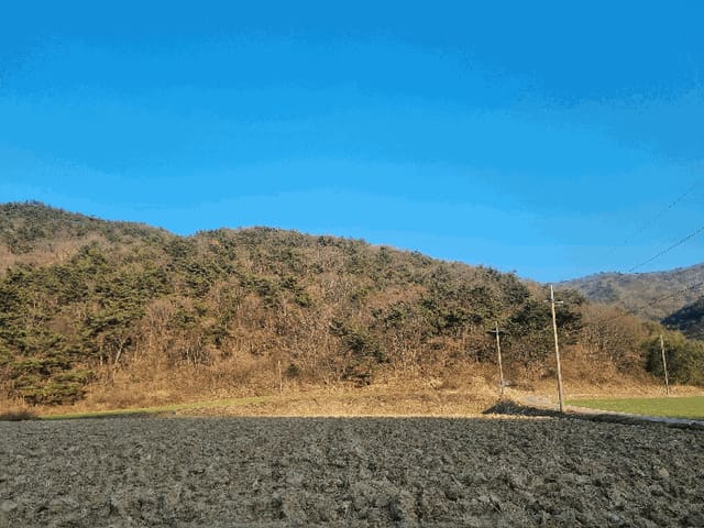 B000510202601300301637.jpg