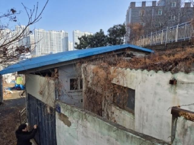 B000510202601300303921.jpg