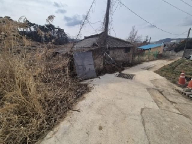 B000510202601300304442.jpg