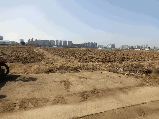 B000510202601300304894.jpg