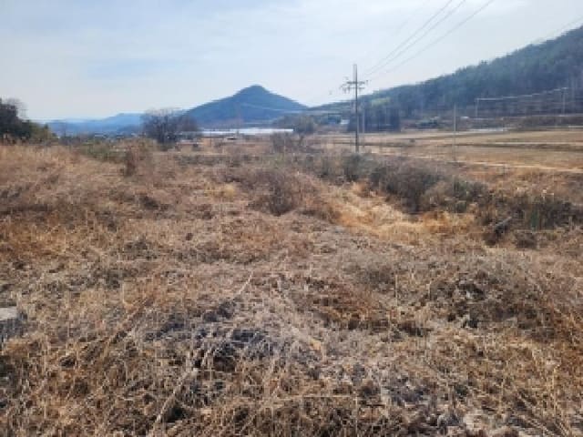 B000510202601300305082.jpg