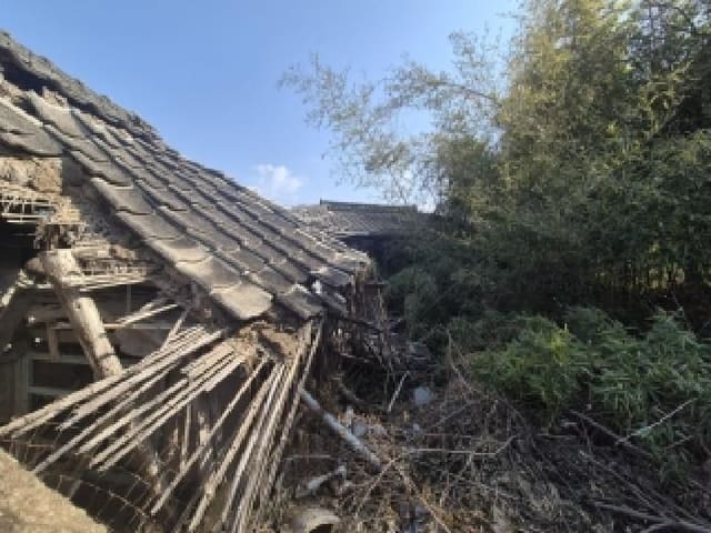 B000510202601300305644.jpg