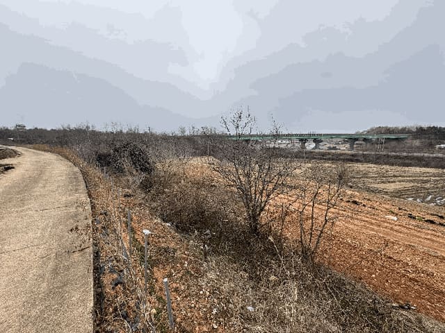 B000510202601300305833.jpg