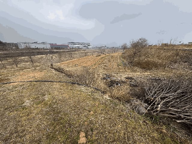 B000510202601300305834.jpg