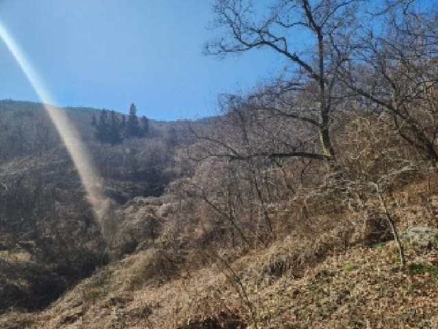 B000510202601300306581.jpg