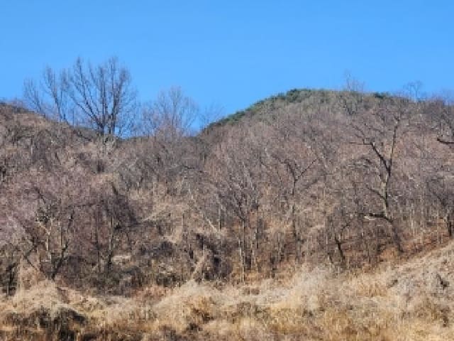 B000510202601300306582.jpg