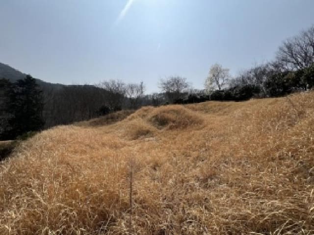 B000510202601300308113.jpg