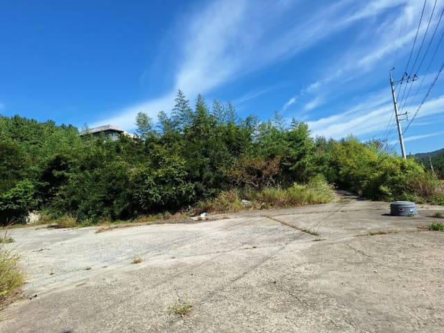 B0005112024013005602716.jpg