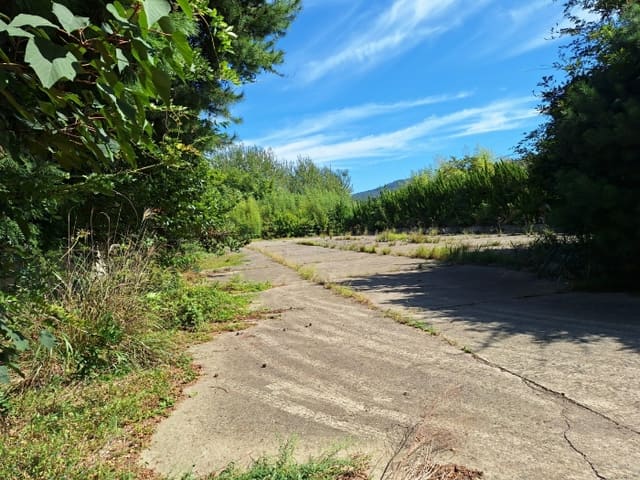 B0005112024013005602717.jpg