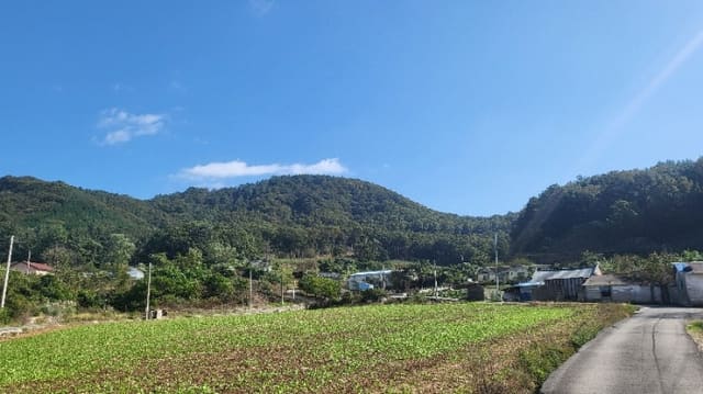 B000511202401300565464.jpg