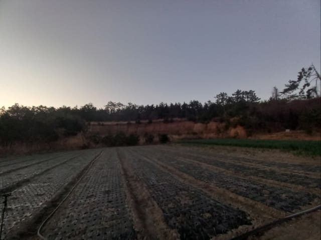 B000511202401300582764.jpg