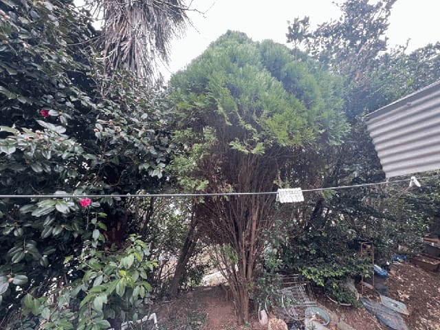 B000511202501300003134.jpg