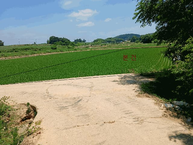 B000511202501300004144.jpg