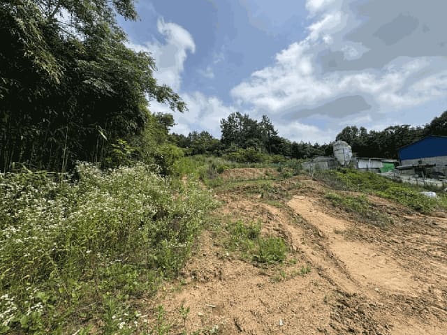 B000511202501300004174.jpg