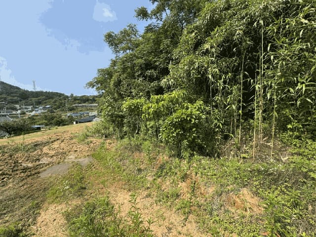 B000511202501300004178.jpg