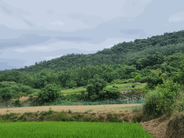 B000511202501300004454.jpg