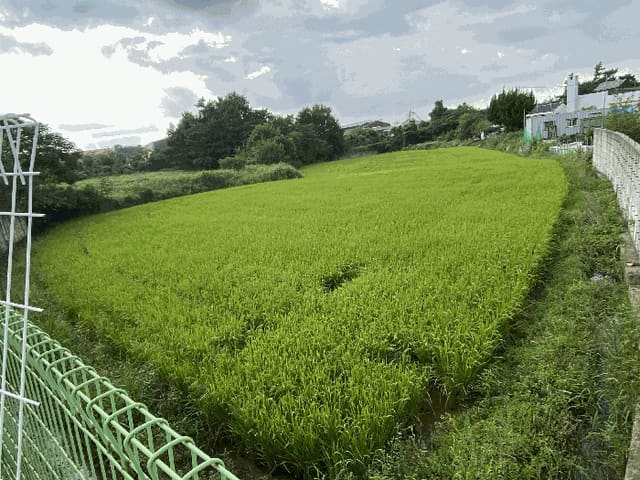 B000511202501300004725.jpg