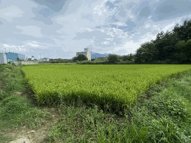 B000511202501300004724.jpg