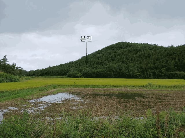 B000511202501300004864.jpg