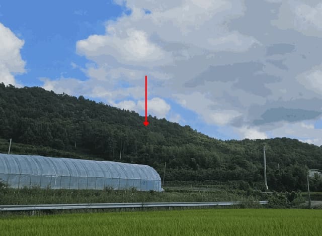 B000511202501300004934.jpg