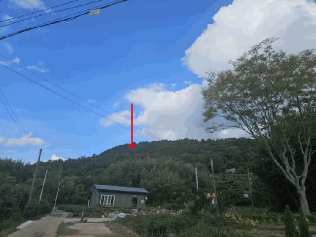 B000511202501300004933.jpg