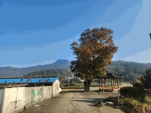 B000511202501300005314.jpg