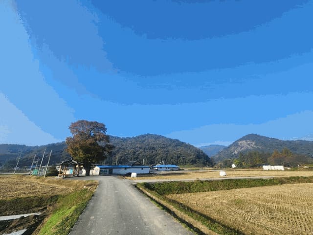 B000511202501300005315.jpg