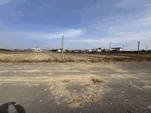 B000511202501300005774.jpg