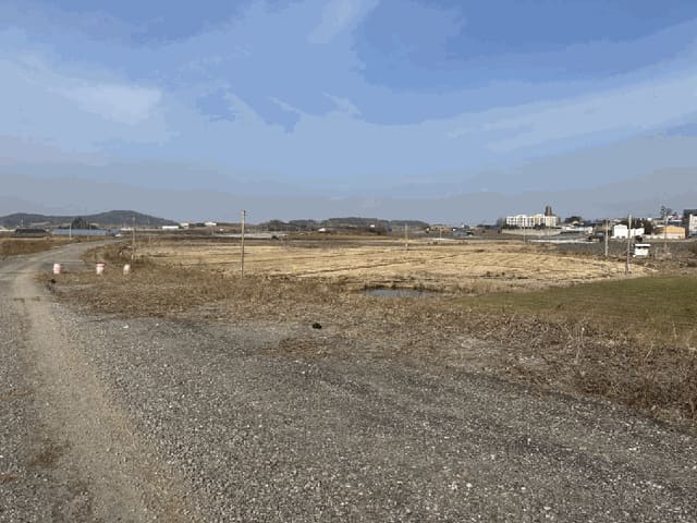 B000511202501300005772.jpg