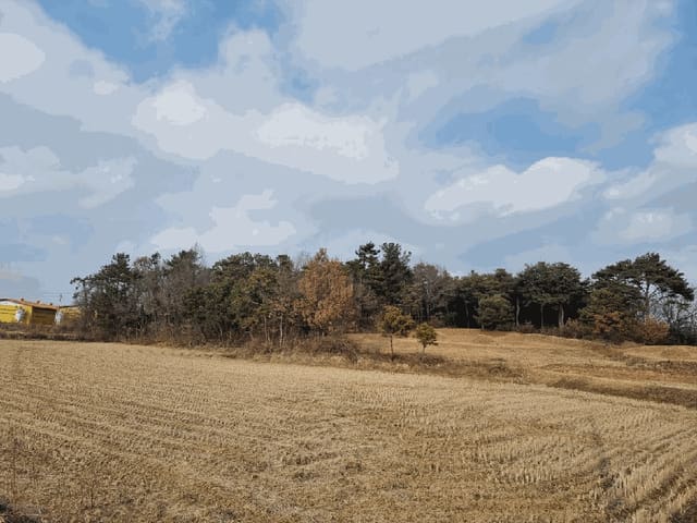 B000511202501300005814.jpg